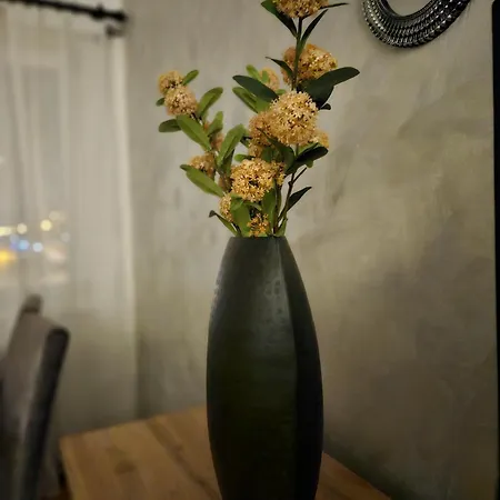 Industry 公寓 巴尼西卢卡